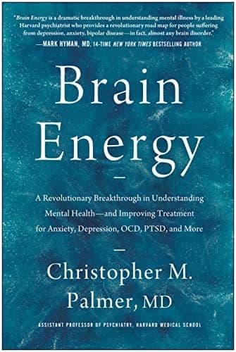 Cover: Brain Energy by Christopher M. Palmer